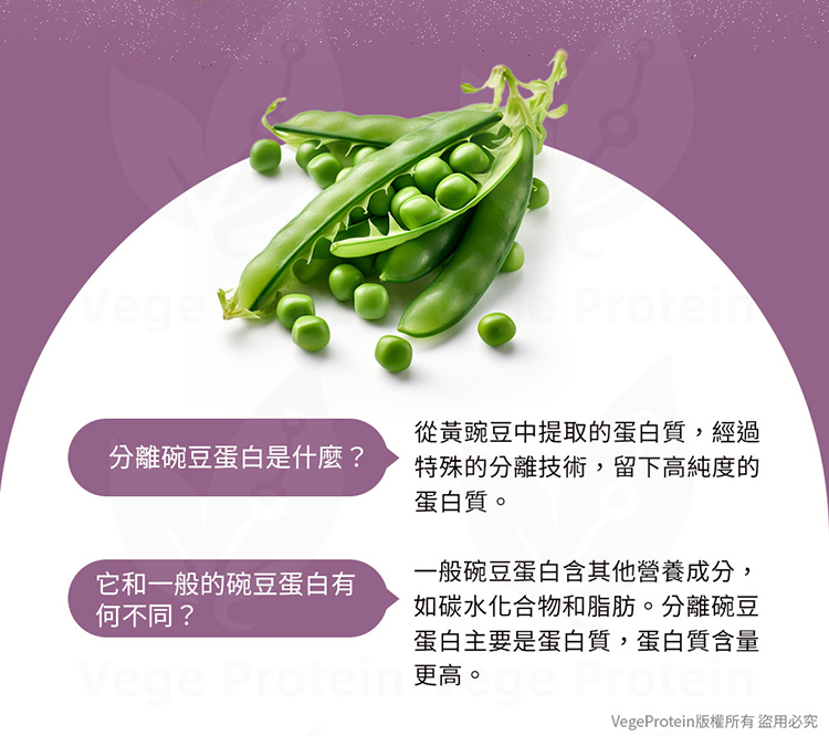 Aijia愛佳豌豆蛋白 南瓜口味