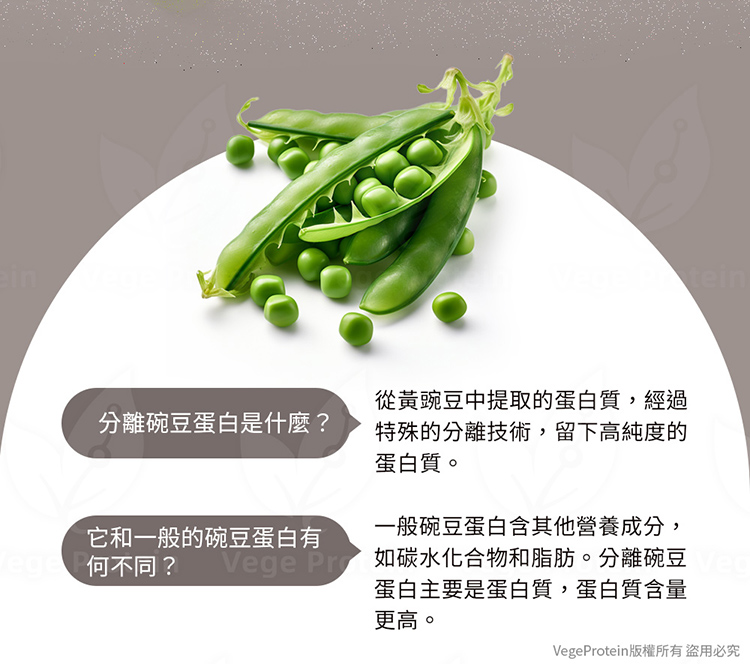 Aijia愛佳 黑雪花 芝麻 豌豆蛋白 盒裝