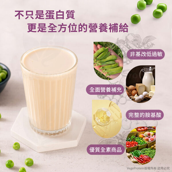 Aijia 愛佳 豌豆蛋白 原味 1KG
