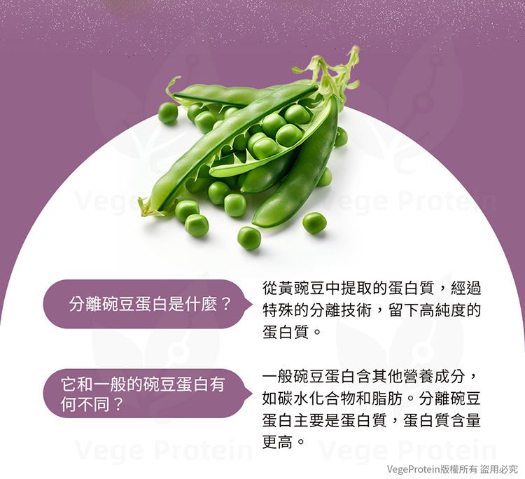 Aijia愛佳 原味 豌豆蛋白 1KG