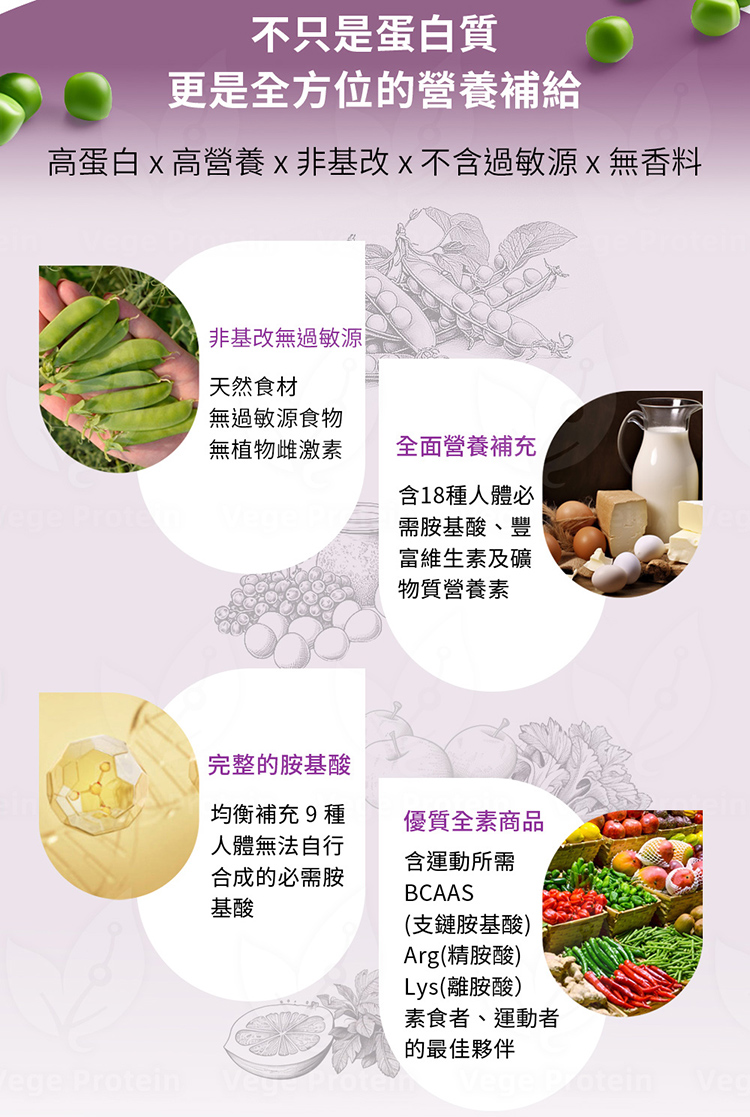 Aijia愛佳原味 豌豆蛋白 1KG