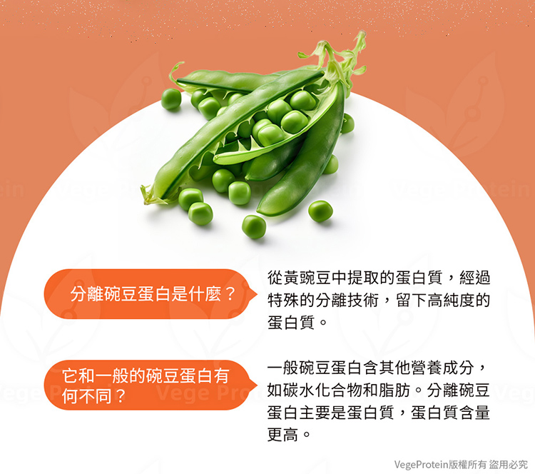Aijia愛佳豌豆蛋白 南瓜口味說明