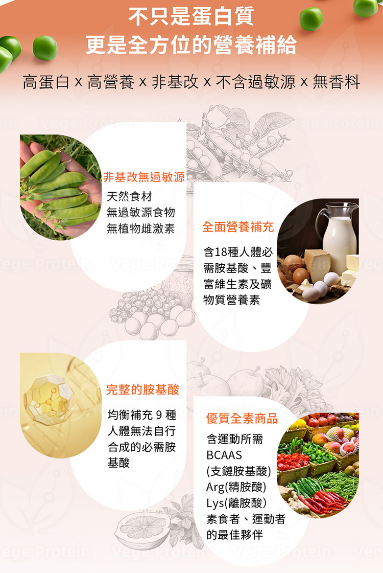 Aijia愛佳豌豆蛋白 南瓜說明特點